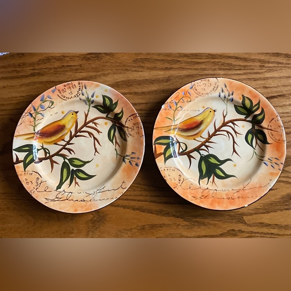 2 Bird hand painted plates, Pier 1 Imports, 8.5”